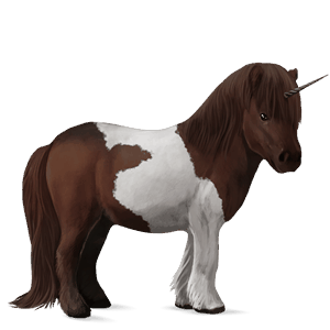 einhorn-reitpferd curly horse palomino mit tobiano-scheckung