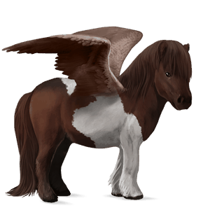 pegasus-pony dunkelfuchs mit tobiano-scheckung