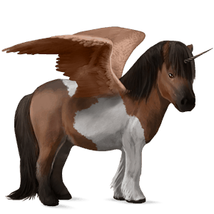 geflügeltes einhorn-pony shetlandpony brauner mit tobiano-scheckung