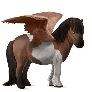 pegasus-pony shetlandpony brauner mit tobiano-scheckung