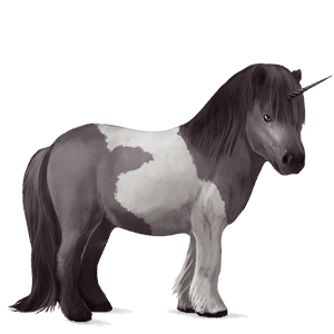 einhorn-pony mausgrauer mit tobiano-scheckung