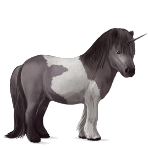 einhorn-pony rappe