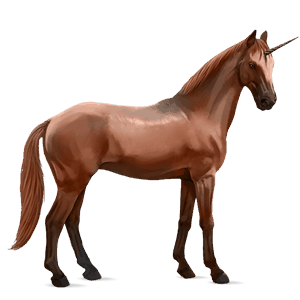 einhorn-reitpferd trakehner fuchs