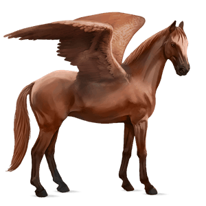 pegasus-reitpferd argentinischer criollo fuchs