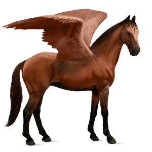 pegasus-reitpferd dunkelfuchs