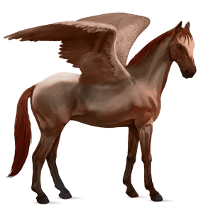 pegasus-reitpferd hannoveraner strawberry roan