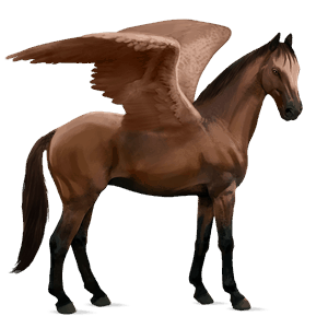 pegasus-reitpferd deutsches reitpferd brauner