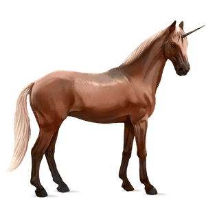 einhorn-reitpferd deutsches reitpferd roan
