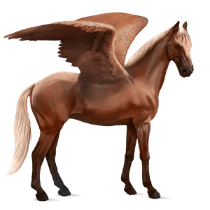 pegasus-reitpferd araber strawberry roan