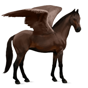 pegasus-reitpferd dunkelbrauner