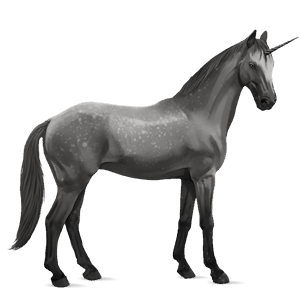 einhorn-reitpferd don-pferd apfelschimmel