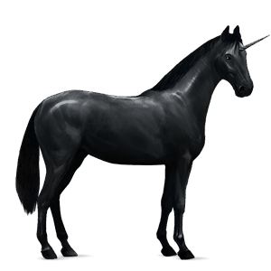 einhorn-reitpferd friese rappe