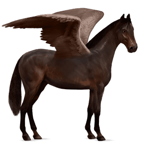 pegasus-reitpferd dunkelbrauner