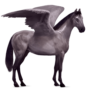 pegasus-reitpferd hannoveraner mausgrau