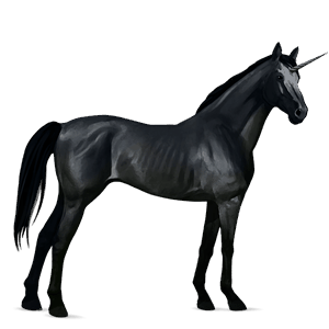 einhorn-reitpferd friese rappe
