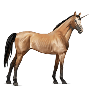 einhorn-reitpferd brauner