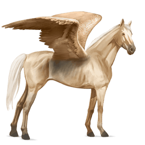 pegasus-reitpferd englisches vollblut brauner