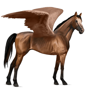 pegasus-reitpferd hackney brauner