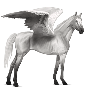 pegasus-reitpferd englisches vollblut hellgrau