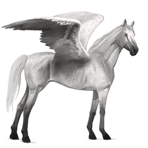 pegasus-reitpferd englisches vollblut apfelschimmel