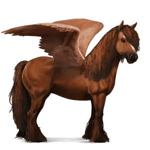 pegasus-reitpferd tinker fuchs
