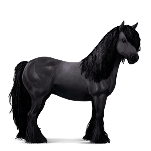 reitpferd argentinischer criollo brauner mit tovero-scheckung 