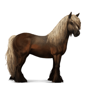 reitpferd tinker dunkelfuchs mit heller mähne