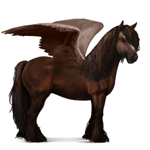 pegasus-reitpferd knabstrupper rappe