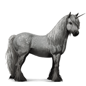 einhorn-reitpferd apfelschimmel