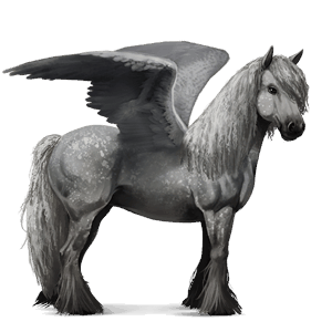 pegasus-reitpferd holsteiner hellgrau
