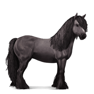 reitpferd mausgrau