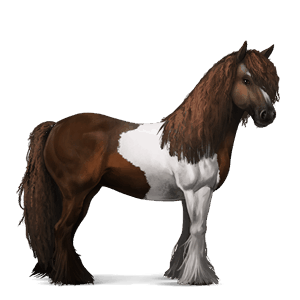 reitpferd dunkelfuchs mit tobiano-scheckung