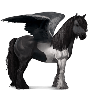 pegasus-reitpferd tinker rappe mit tobiano-scheckung