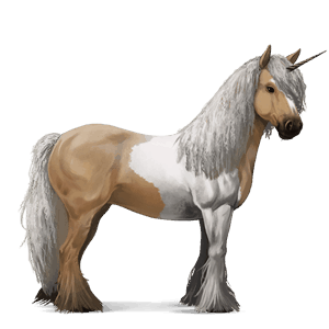 einhorn-reitpferd apfelschimmel