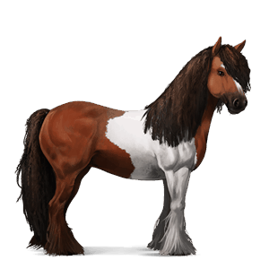 reitpferd tinker rotbrauner mit tobiano-scheckung