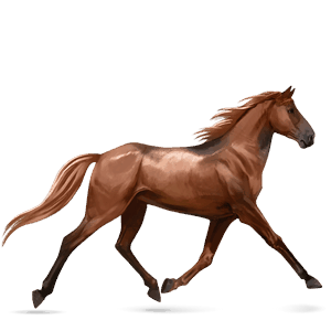 reitpferd mustang fuchs