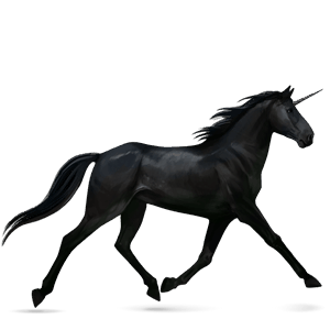 einhorn-reitpferd deutsches reitpferd falbe