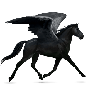 pegasus-reitpferd orlow-traber rappe