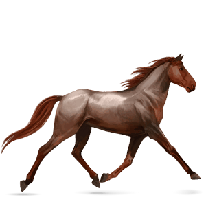 reitpferd tinker rappe mit tobiano-scheckung