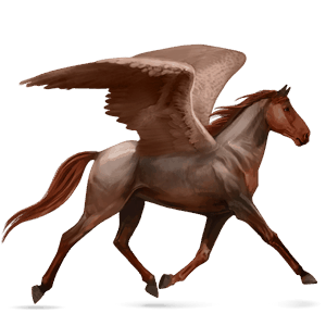 pegasus-reitpferd argentinischer criollo dunkelfuchs