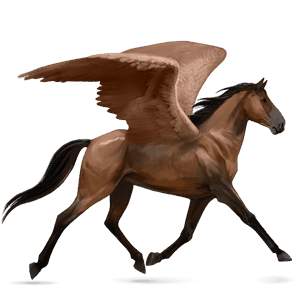 pegasus-reitpferd lusitano brauner