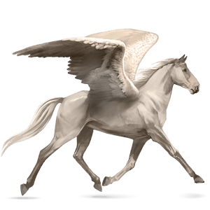 pegasus-reitpferd argentinischer criollo brauner mit tobiano-scheckung