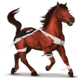einhorn-reitpferd verrückter arzt