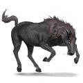 einhorn-reitpferd werpferd