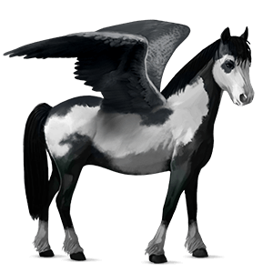 pegasus-pony neufundland pony brauner