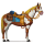 reitpferd ebene