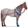 pony ebene