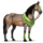 pegasus-pony wald