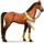 pony wüste