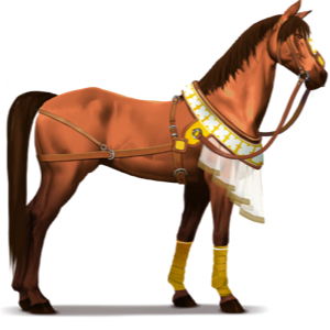 reitpferd wüste